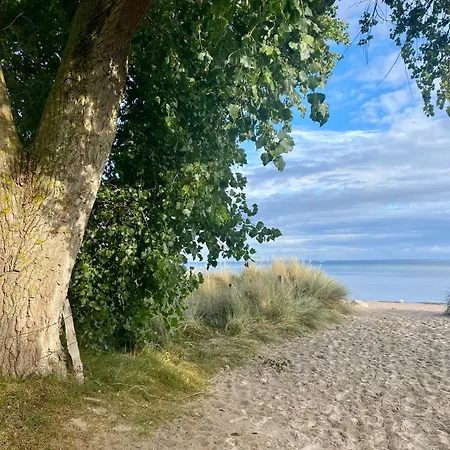 Ferienhaus Südstrand Haus 18 *